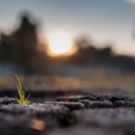 resiliencia, significado e importancia en el duelo